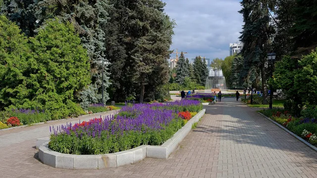 Дендропарк на 8 Марта
