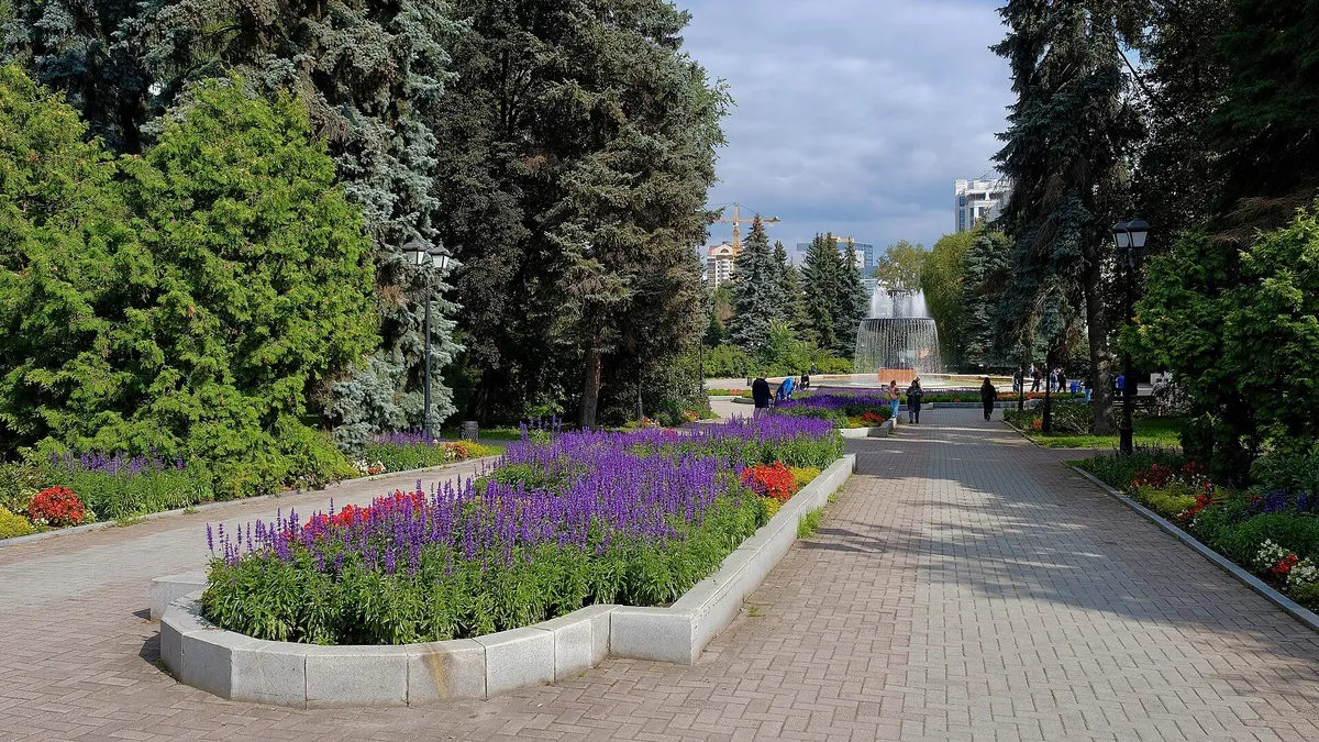 Дендропарк на 8 Марта