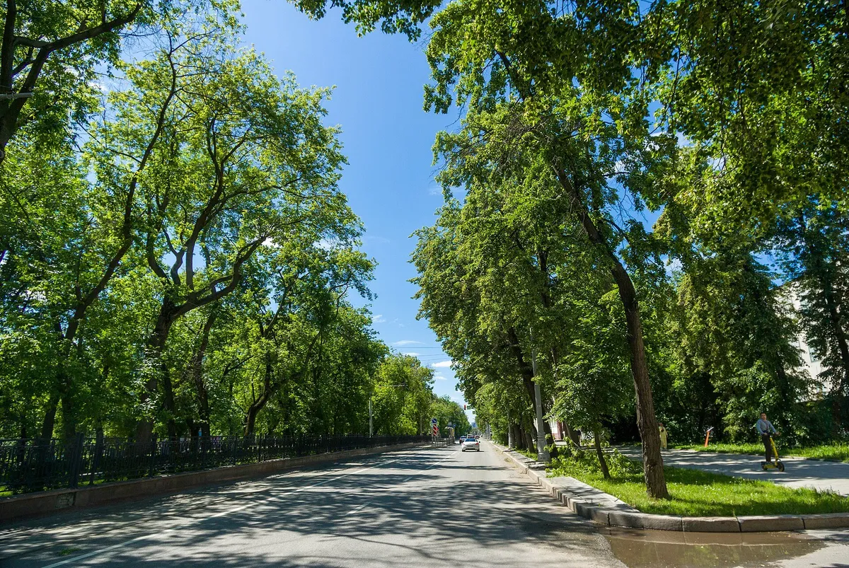 Проспект Ленина (Главный проспект)